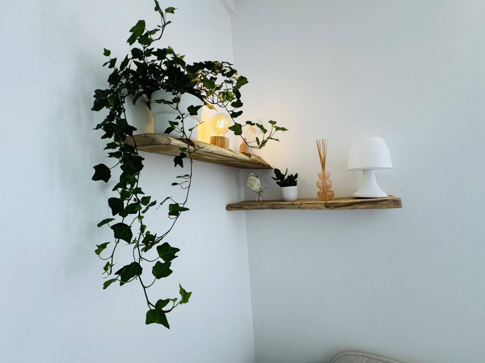 Le Piccolo - Appartement Cosy - Wifi Bègles Extérieur photo